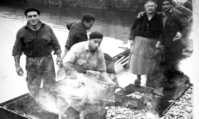 Envasando el pescado en la lancha